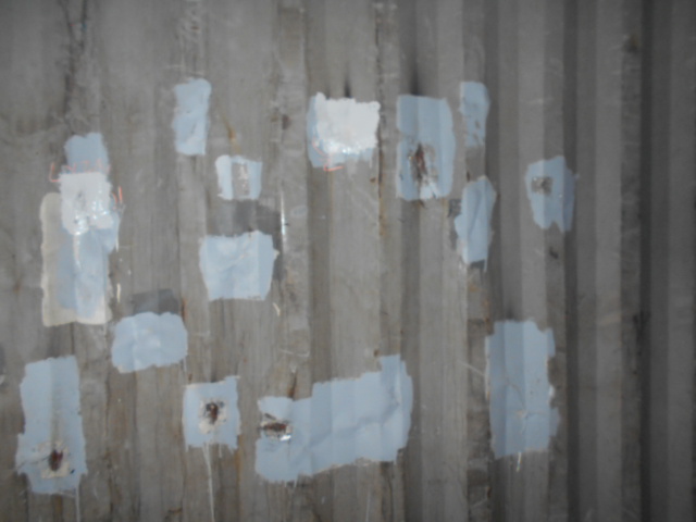 Морской контейнер ZGXU6186910