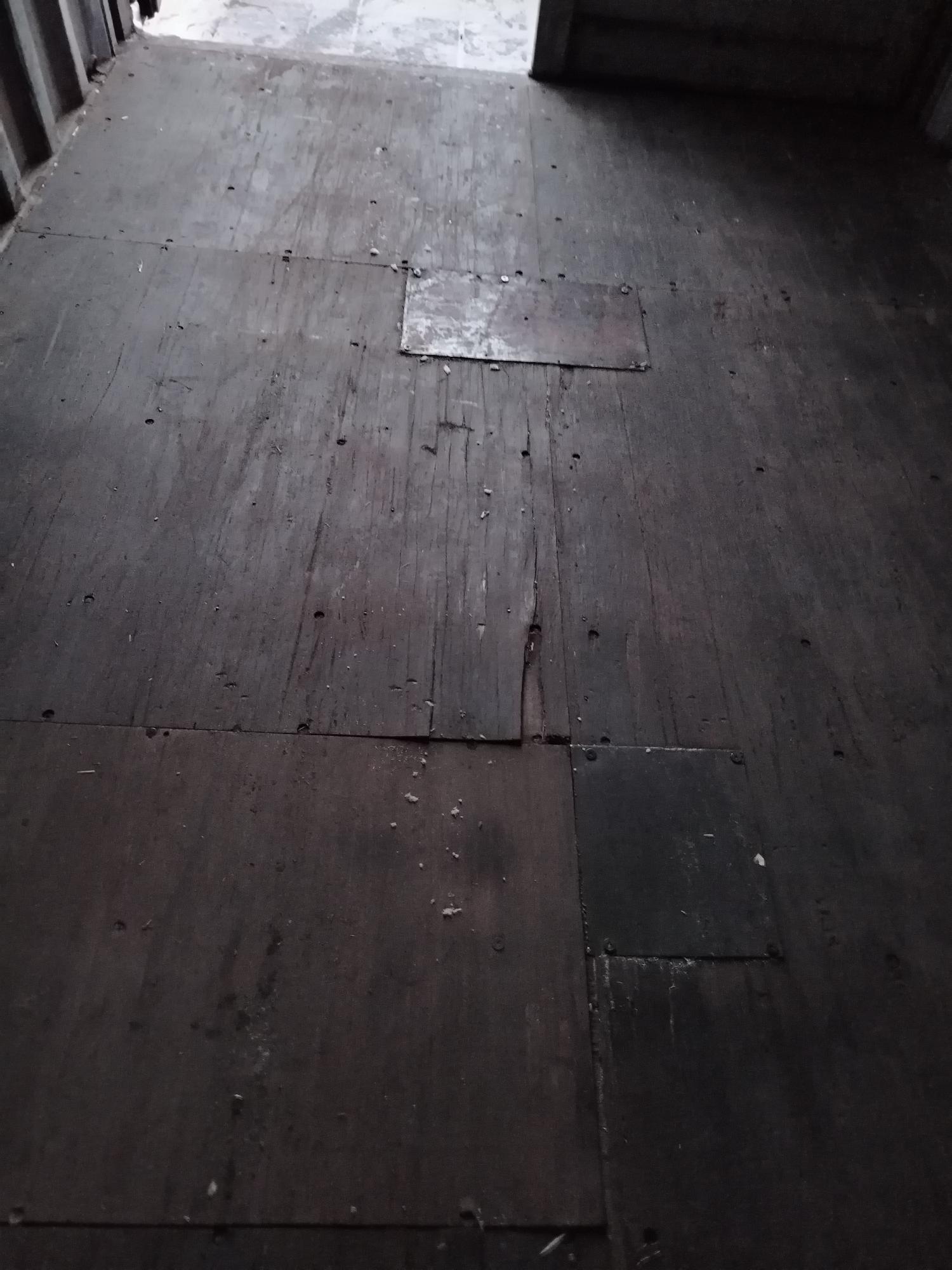 Морской контейнер ZIMU1006980