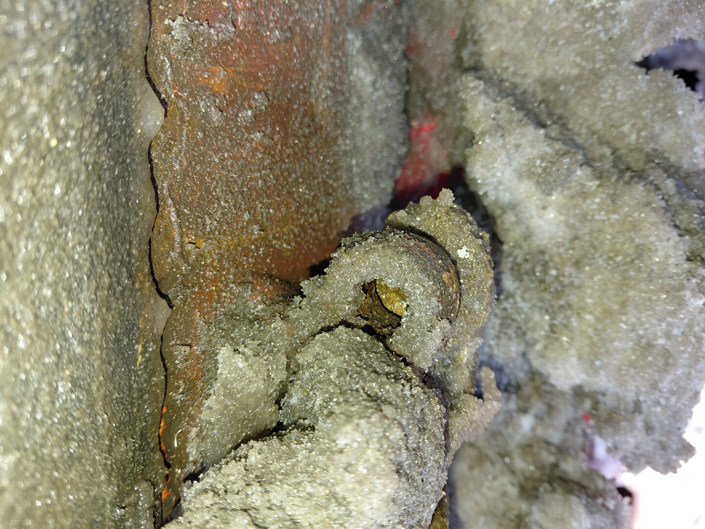 Морской контейнер ZIMU1161673