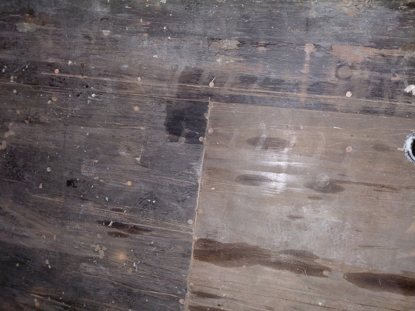 Морской контейнер ZIMU1162480