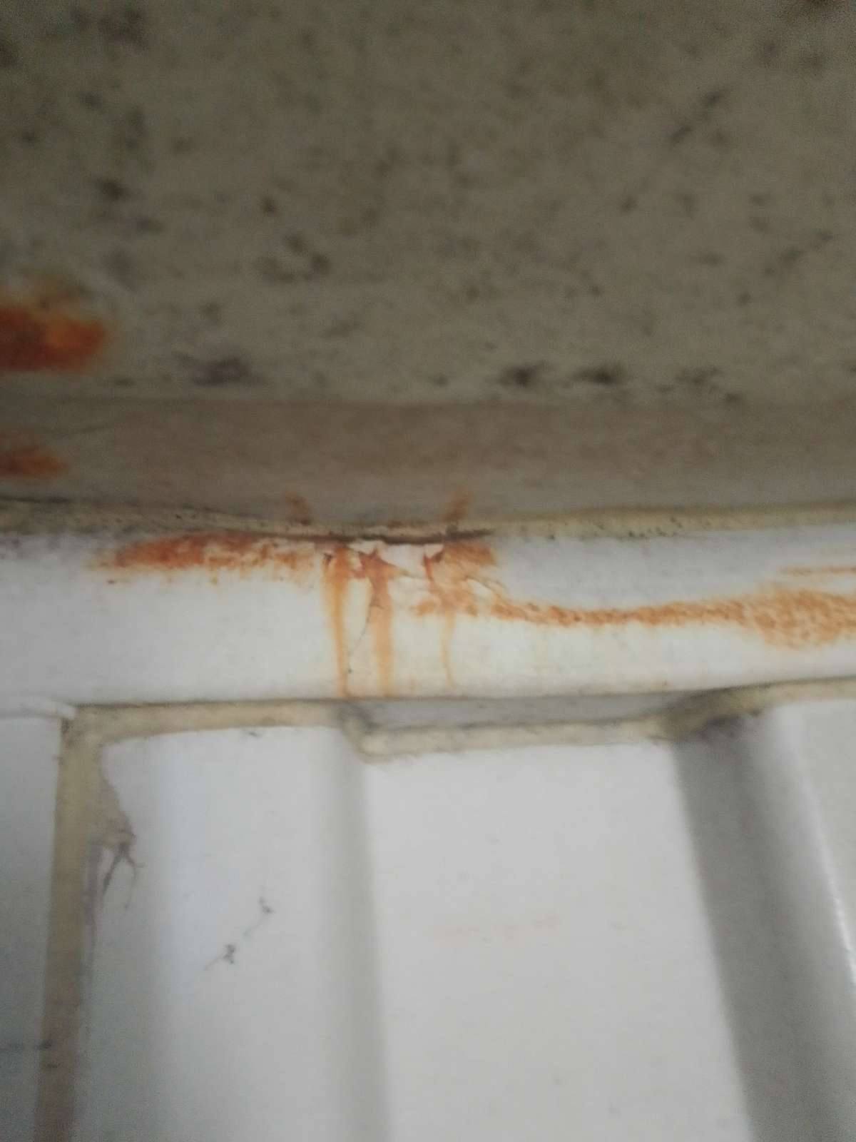 Морской контейнер ZIMU1169653