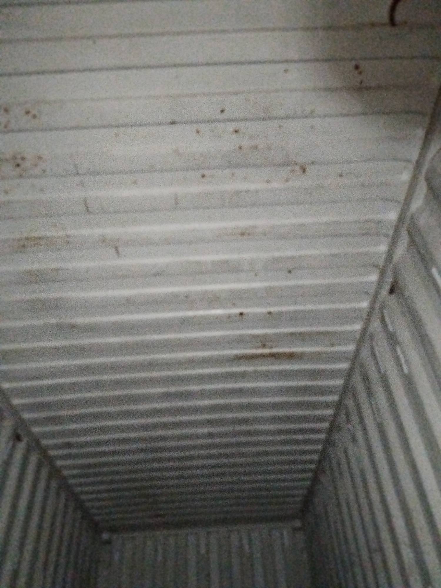Морской контейнер ZIMU1179482