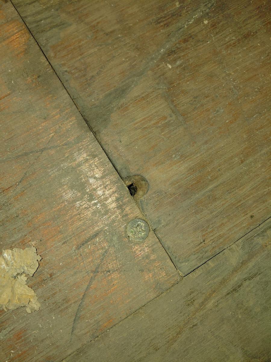 Морской контейнер ZIMU1250390